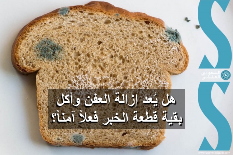 هل ي عد إزالة العفن وأكل بقية قطعة الخبر فعلا آمنا السعودي العلمي