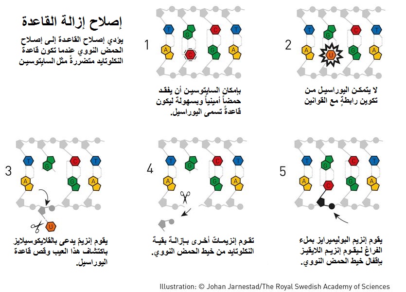 ‏‏عدم التطابق - نسخة