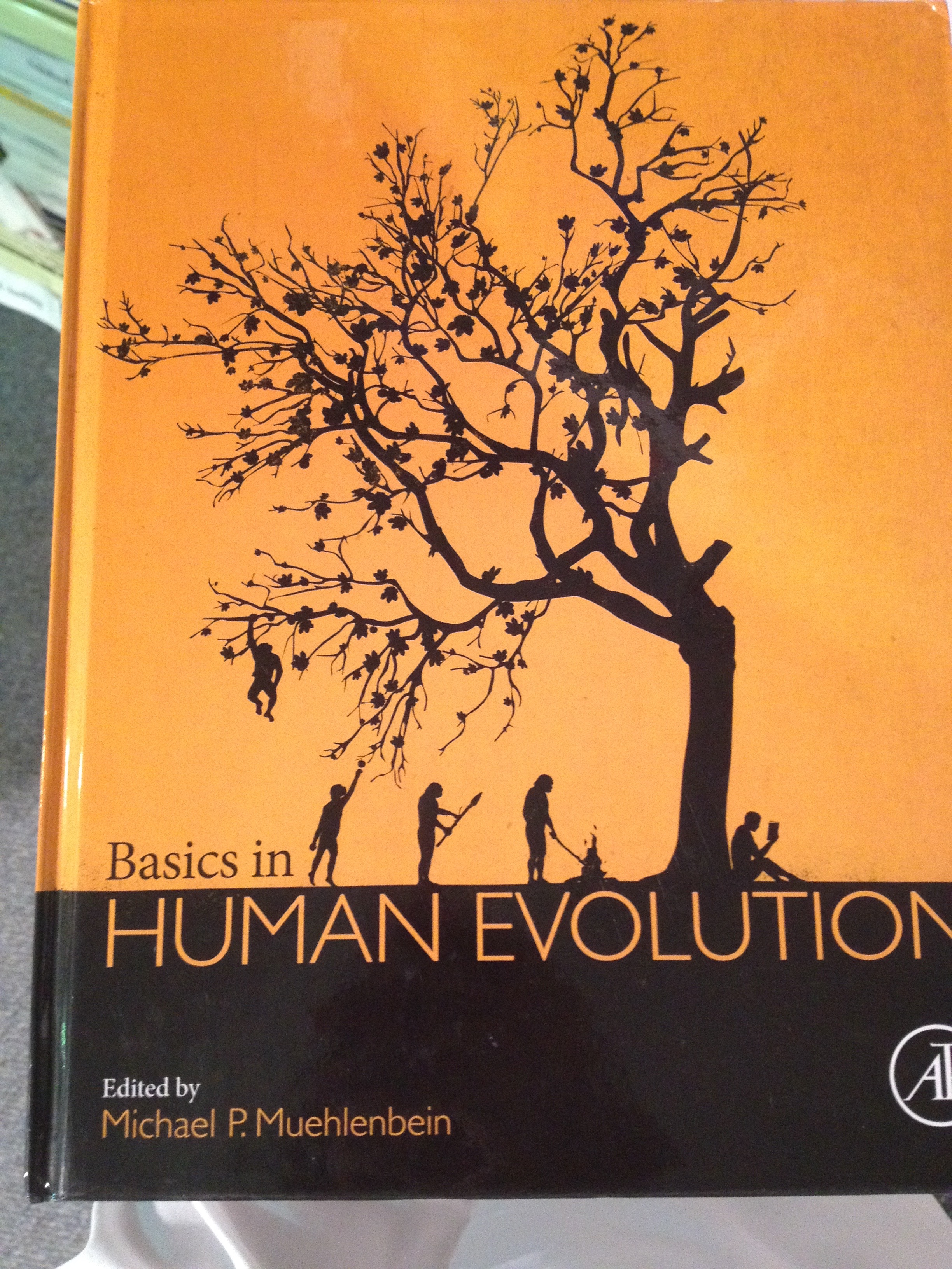 Human Evolution