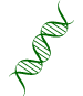 dna_icon
