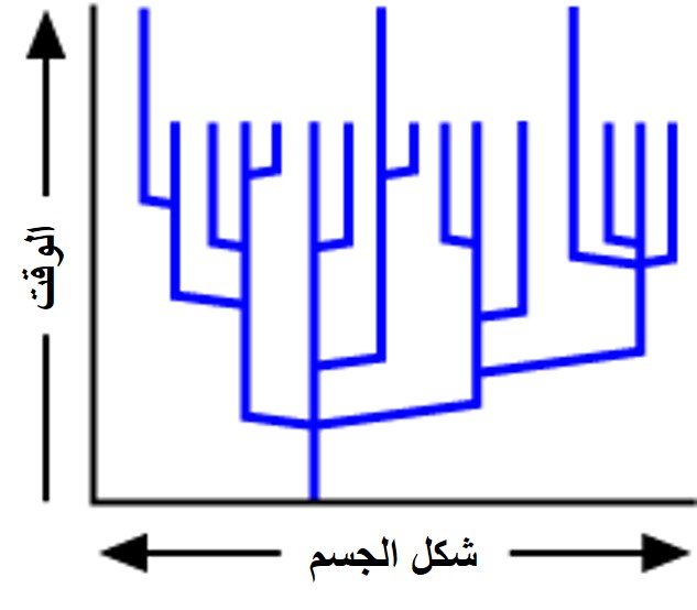 %d8%a7%d9%84%d8%a3%d8%ae%d9%8a%d8%b1%d8%a9