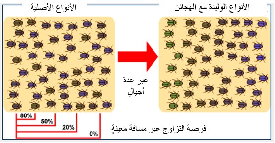 %d8%aa%d8%a8%d8%a7%d8%b9%d8%af