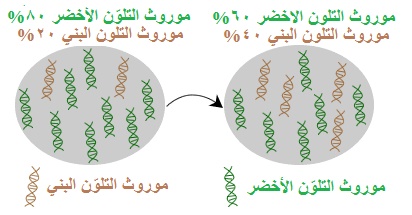 %d8%aa%d9%88%d8%b2%d9%8a%d8%b9