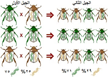 %d8%ac%d8%a8%d8%aa%d9%87%d8%a7