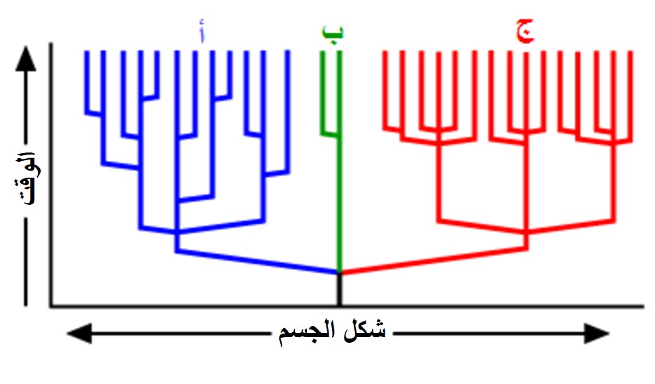 %d8%b4%d8%ac%d8%b1%d8%a9