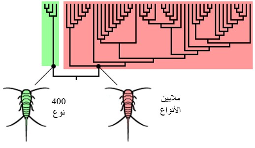 %d8%b4%d8%ac%d8%b1%d8%a9