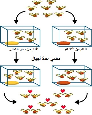 %d8%b9%d8%b2%d9%84%d8%a9