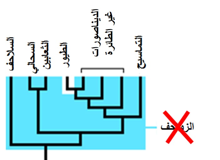 %d9%85%d8%b4-%d8%b2%d9%88%d8%a7%d8%ad%d9%811