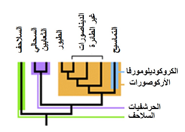 %d9%88%d8%a7%d9%84%d9%84%d9%871